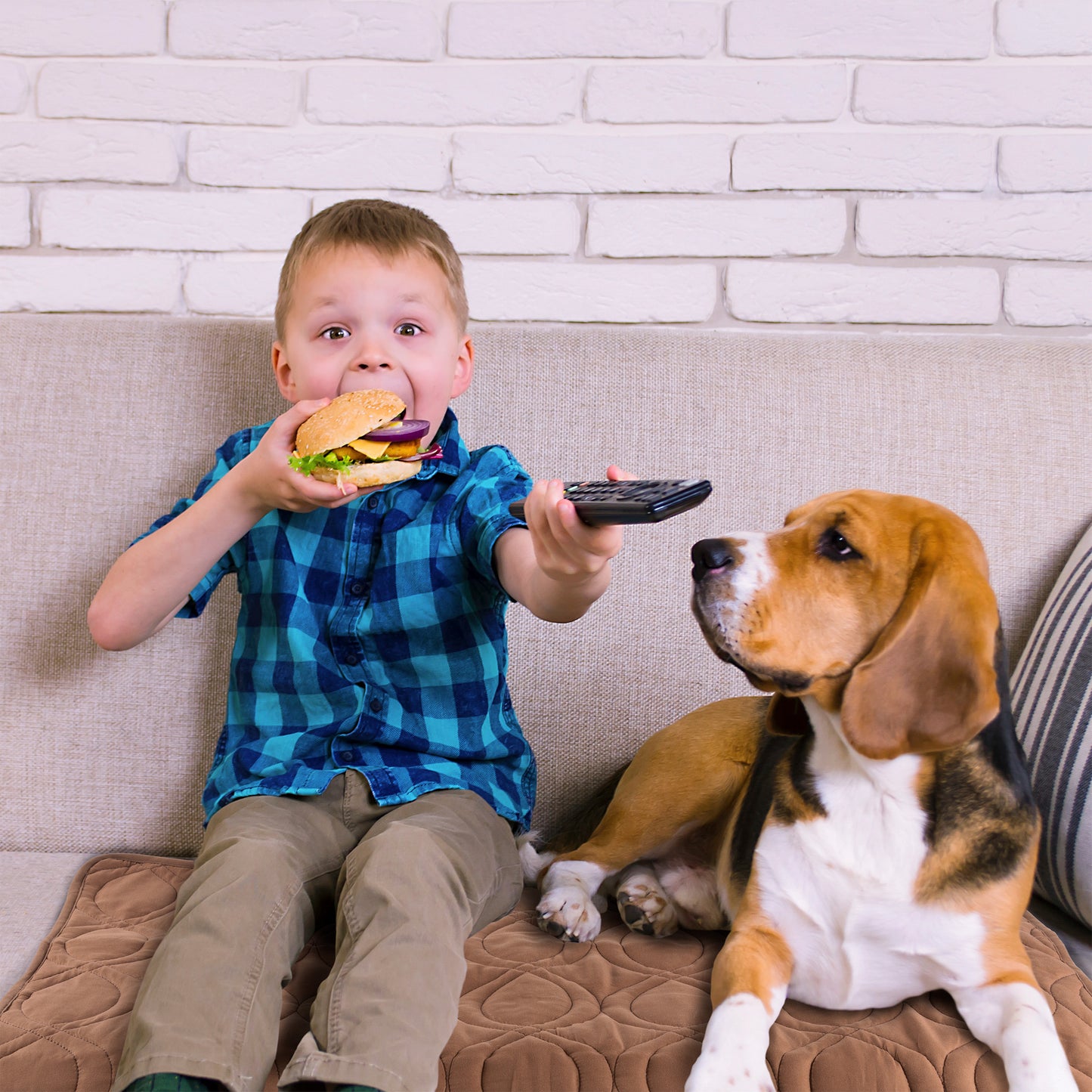 Waterproof Pet Couch Cover