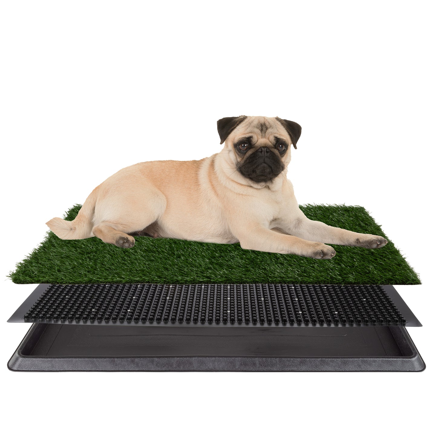 Artificial Grass Puppy Pad