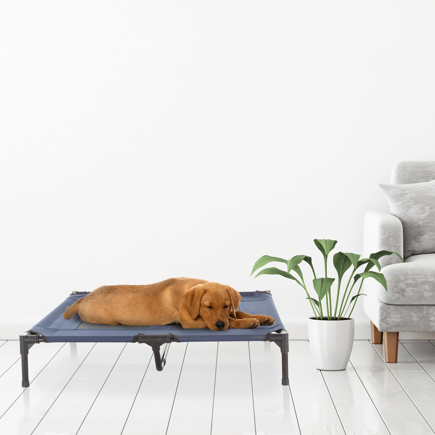 Elevated Dog Bed
