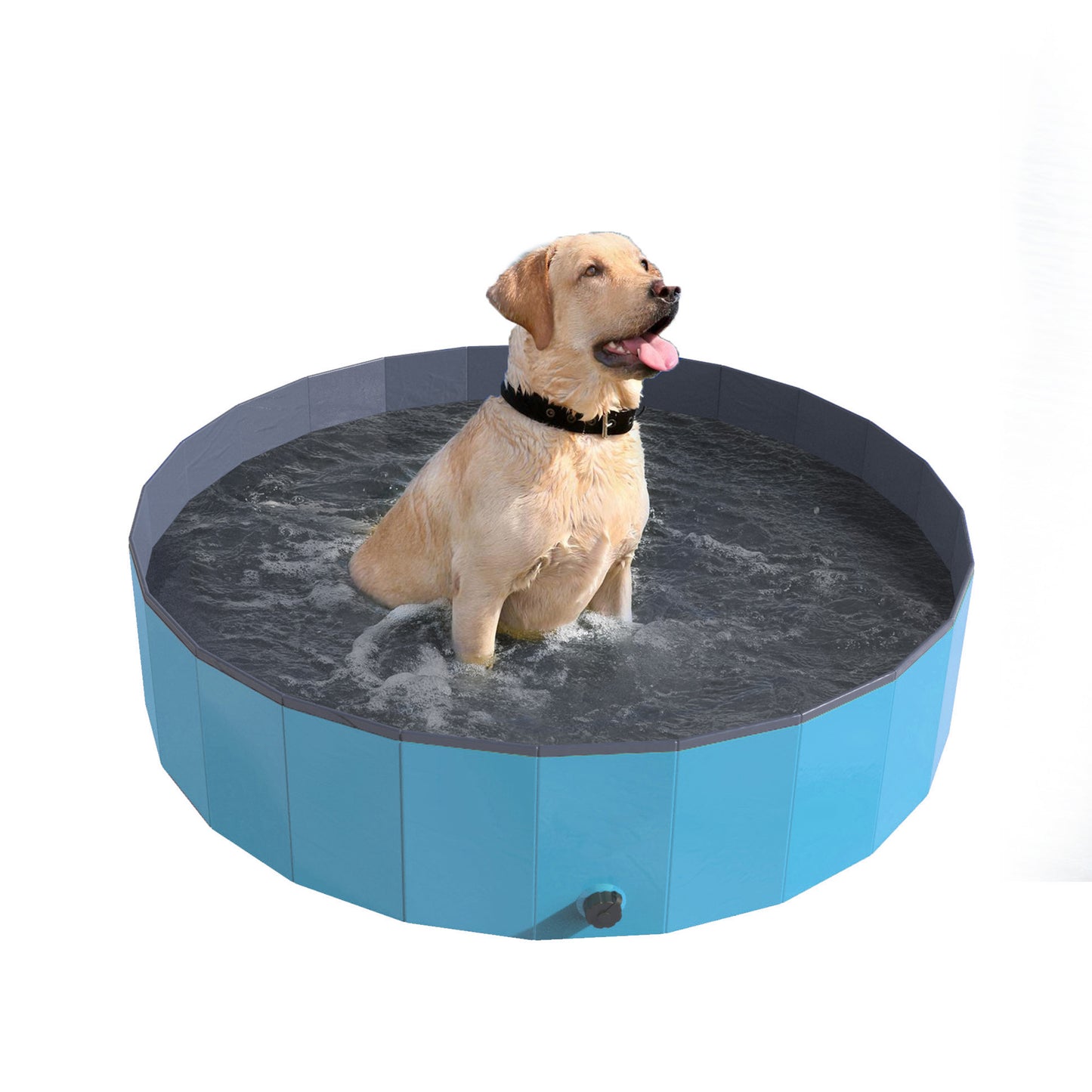 Portable Folding Dog Pool with Carry Bag