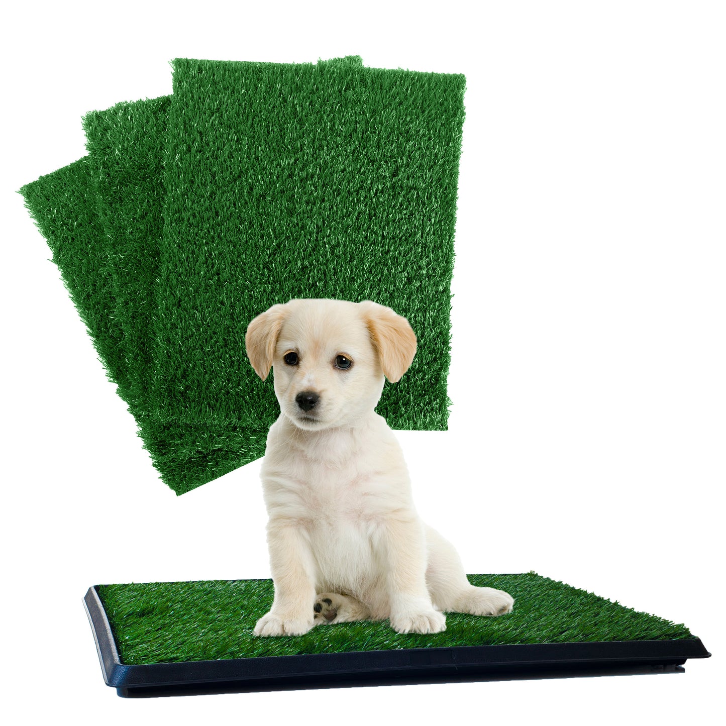 Potty Training System with 3 Reusable Pads