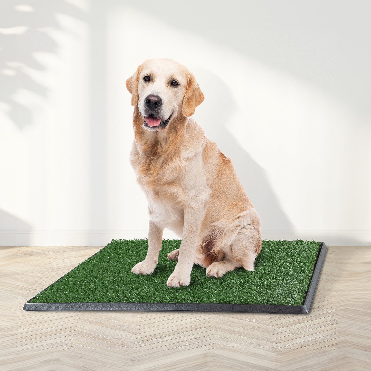Artificial Grass Puppy Pad