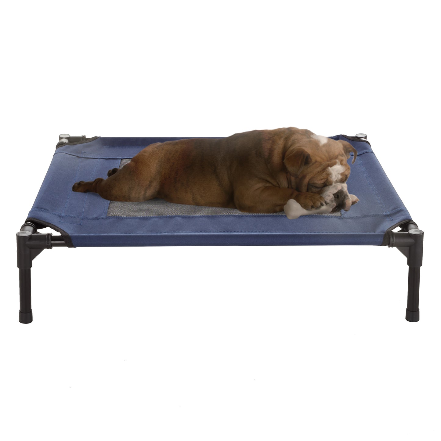 Elevated Dog Bed