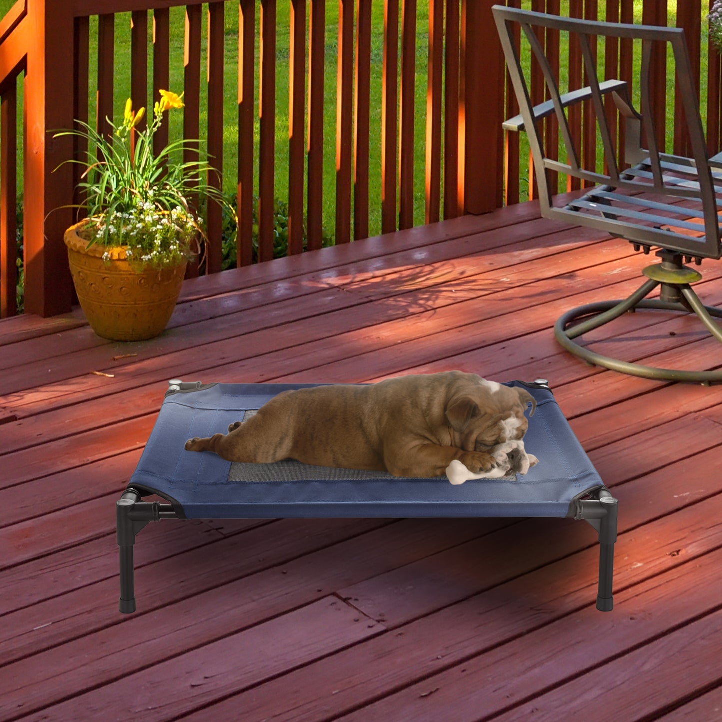 Elevated Dog Bed