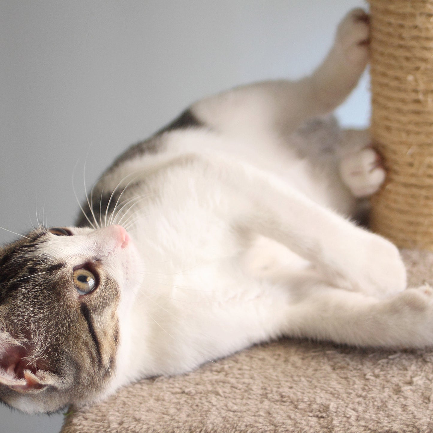 PETMAKER 4FT Cat Tree with Scratch Posts, White