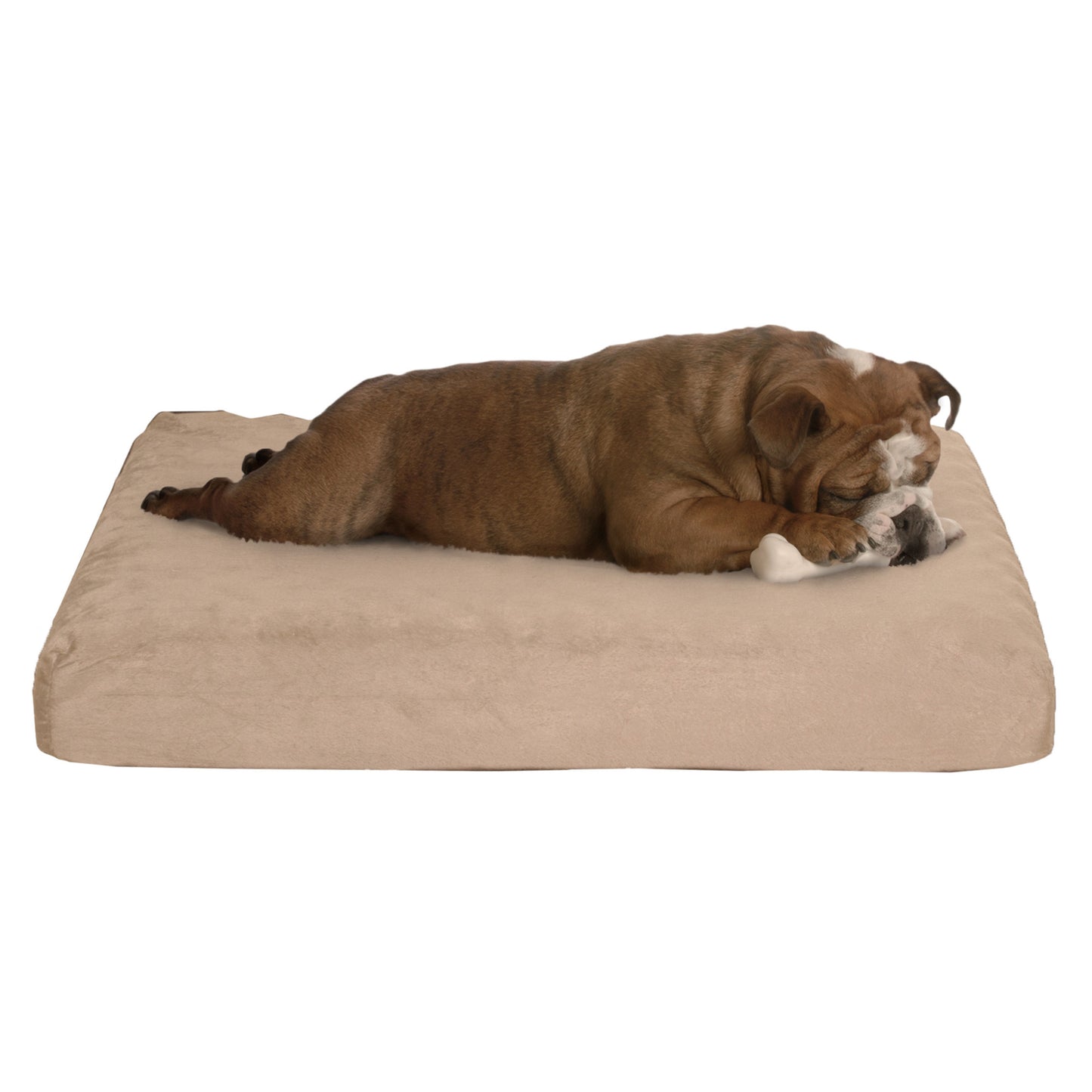 Orthopedic Memory Foam Dog Bed