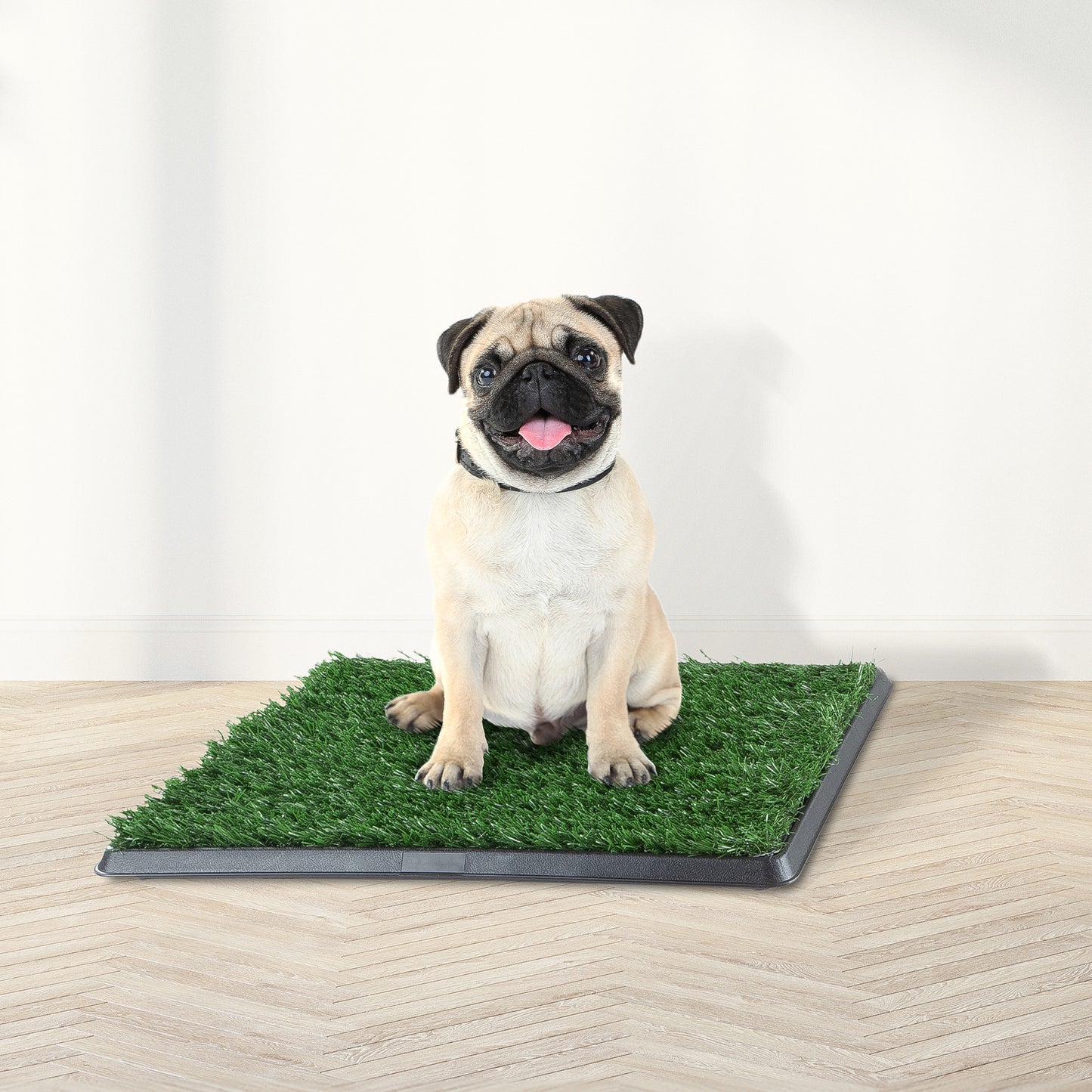 Artificial Grass Puppy Pad