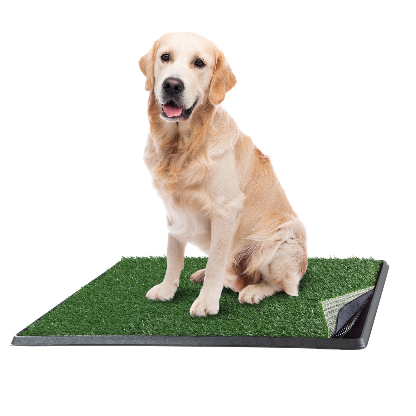 Artificial Grass Puppy Pad