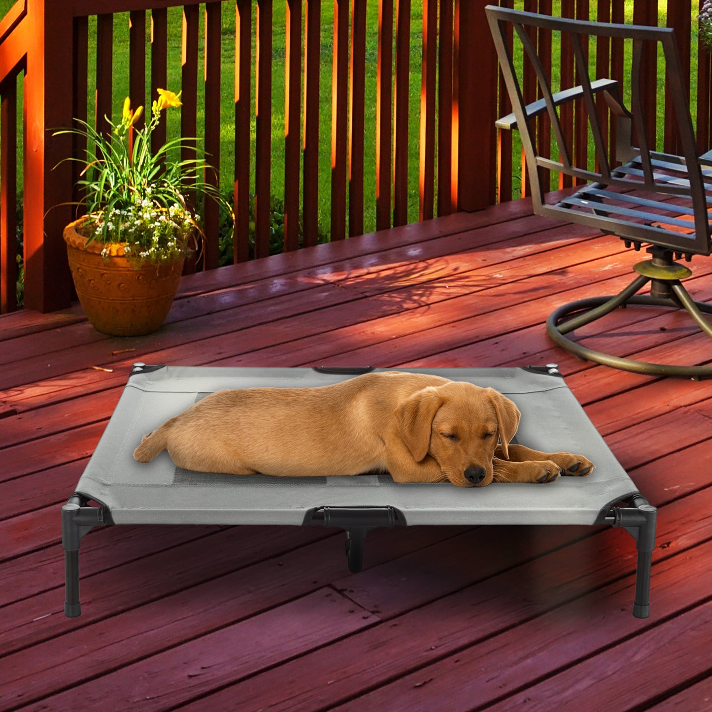 Elevated Dog Bed