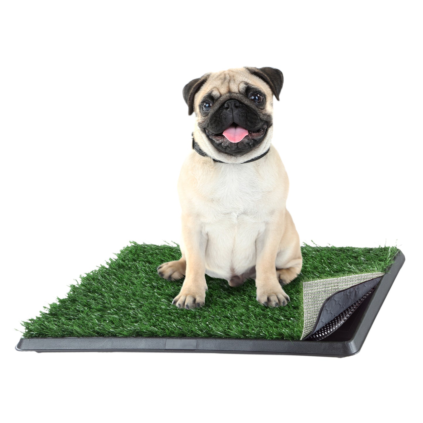 Artificial Grass Puppy Pad