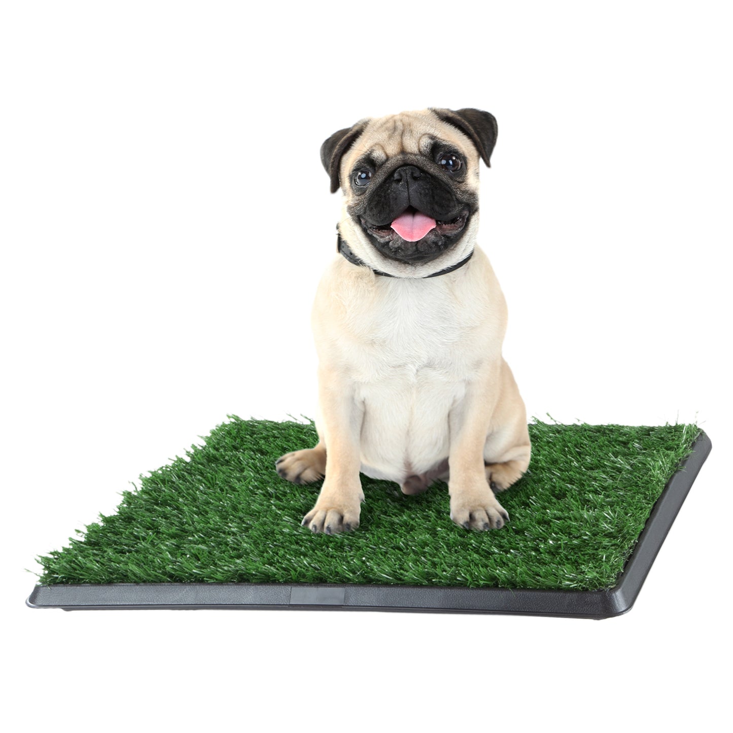 Artificial Grass Puppy Pad
