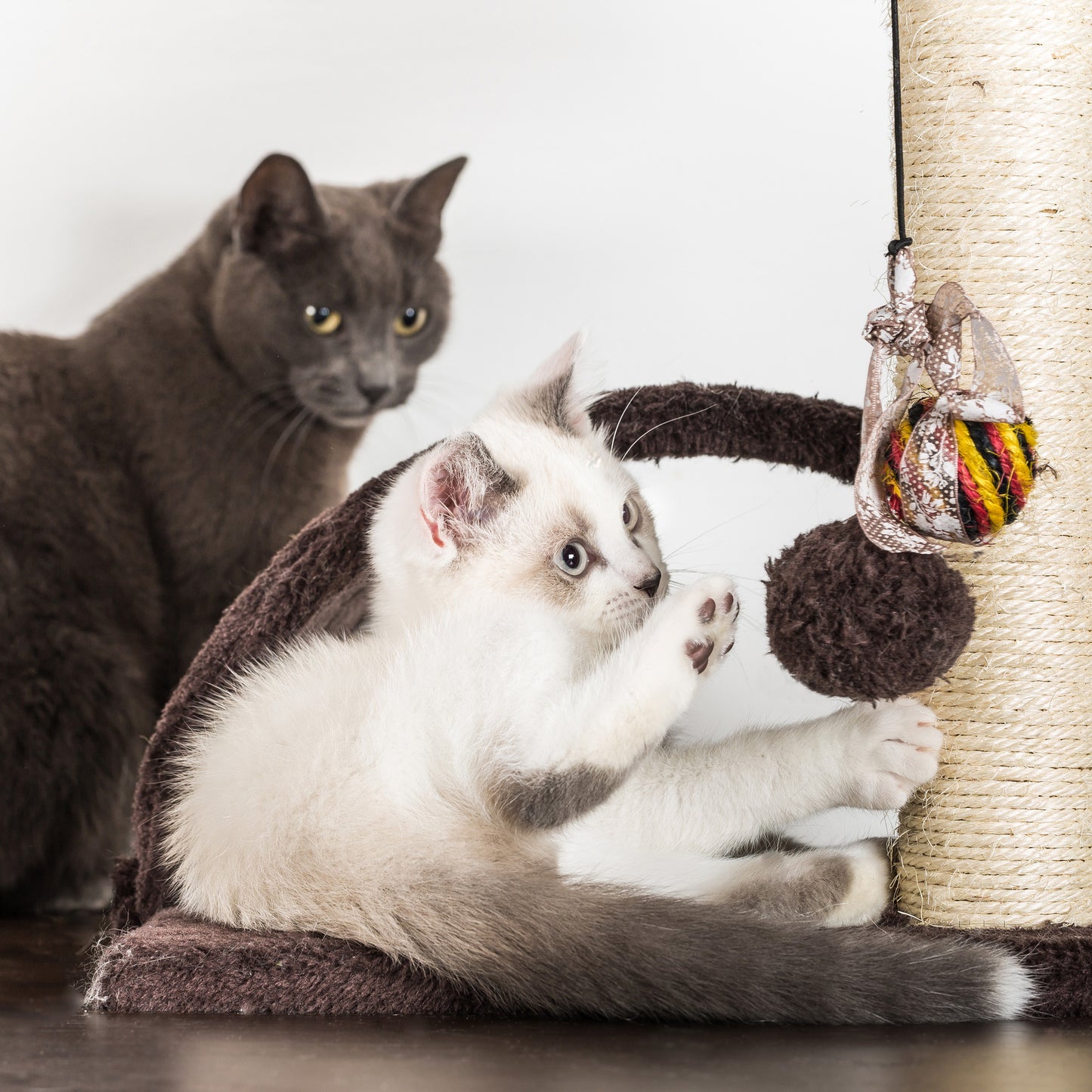 4-Tier Cat Tower for Indoor Cats