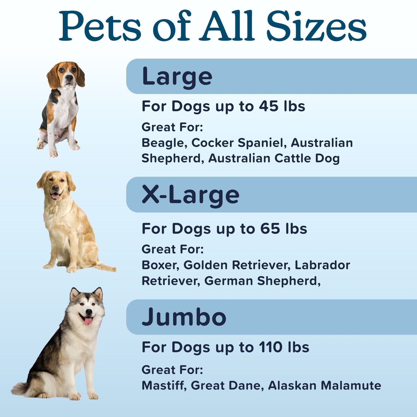 Orthopedic Memory Foam Pet Bed