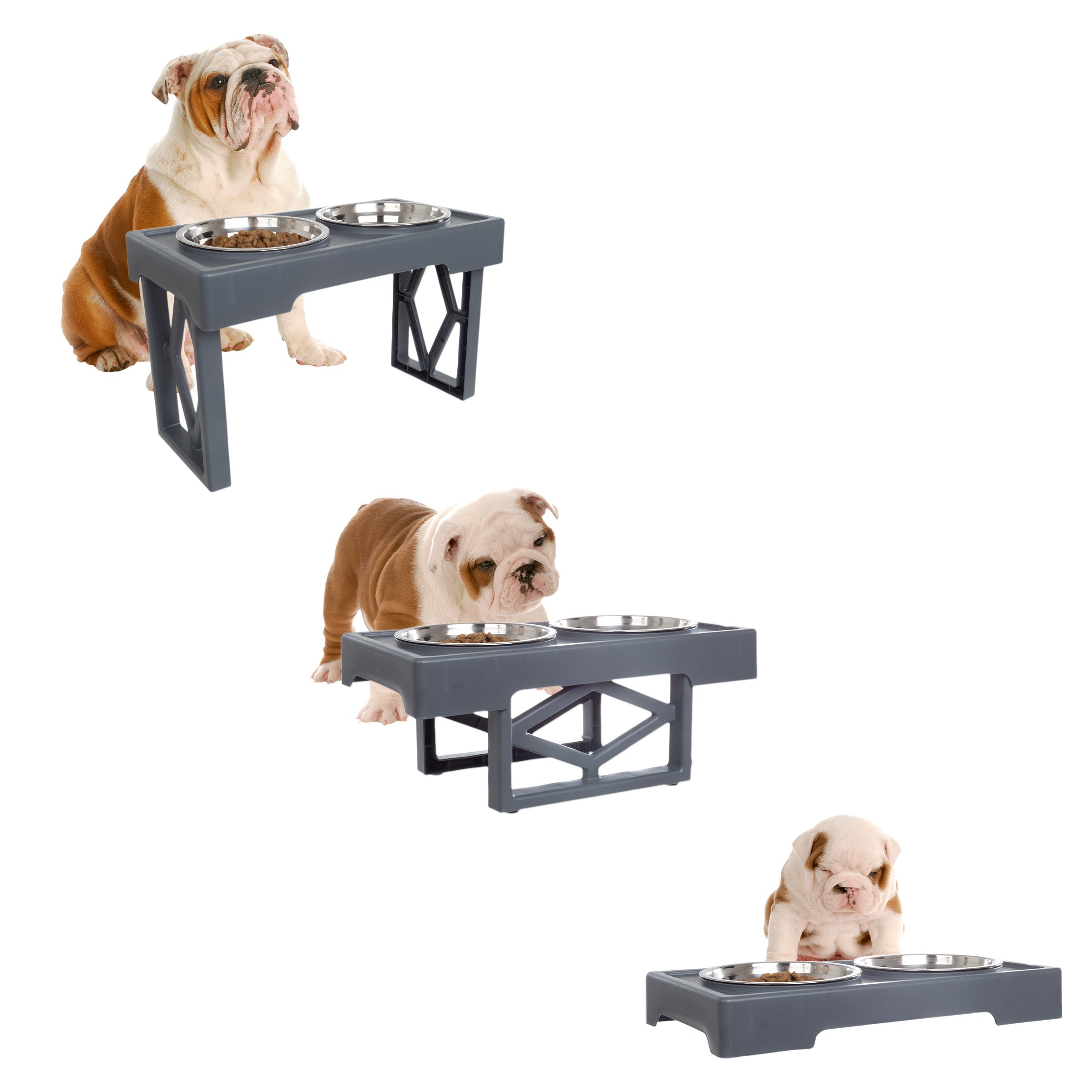 Elevated Dog Bowls 3 Adjustable Heights Raised Pet Bowl Stand with