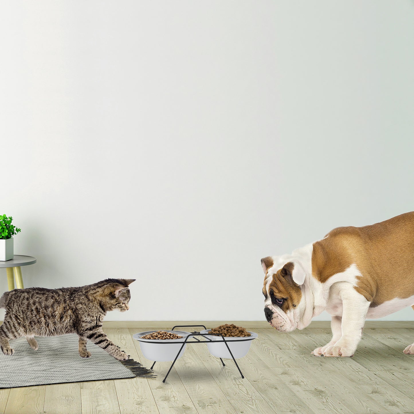 Stainless Steel Elevated Pet Bowls and Iron Stand