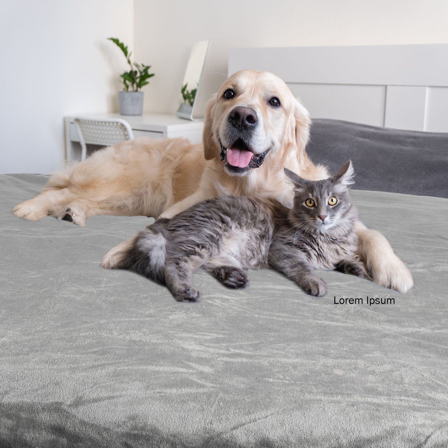 PETMAKER 50x60-Inch Waterproof Dog Blanket, Gray