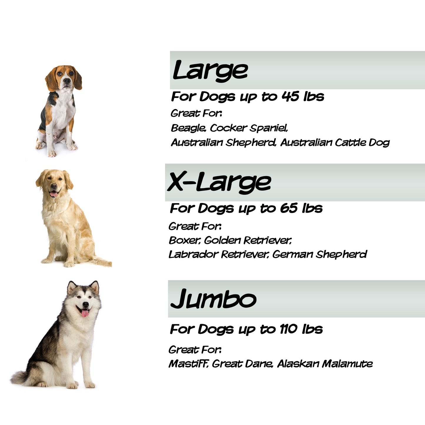 Orthopedic Memory Foam Pet Bed