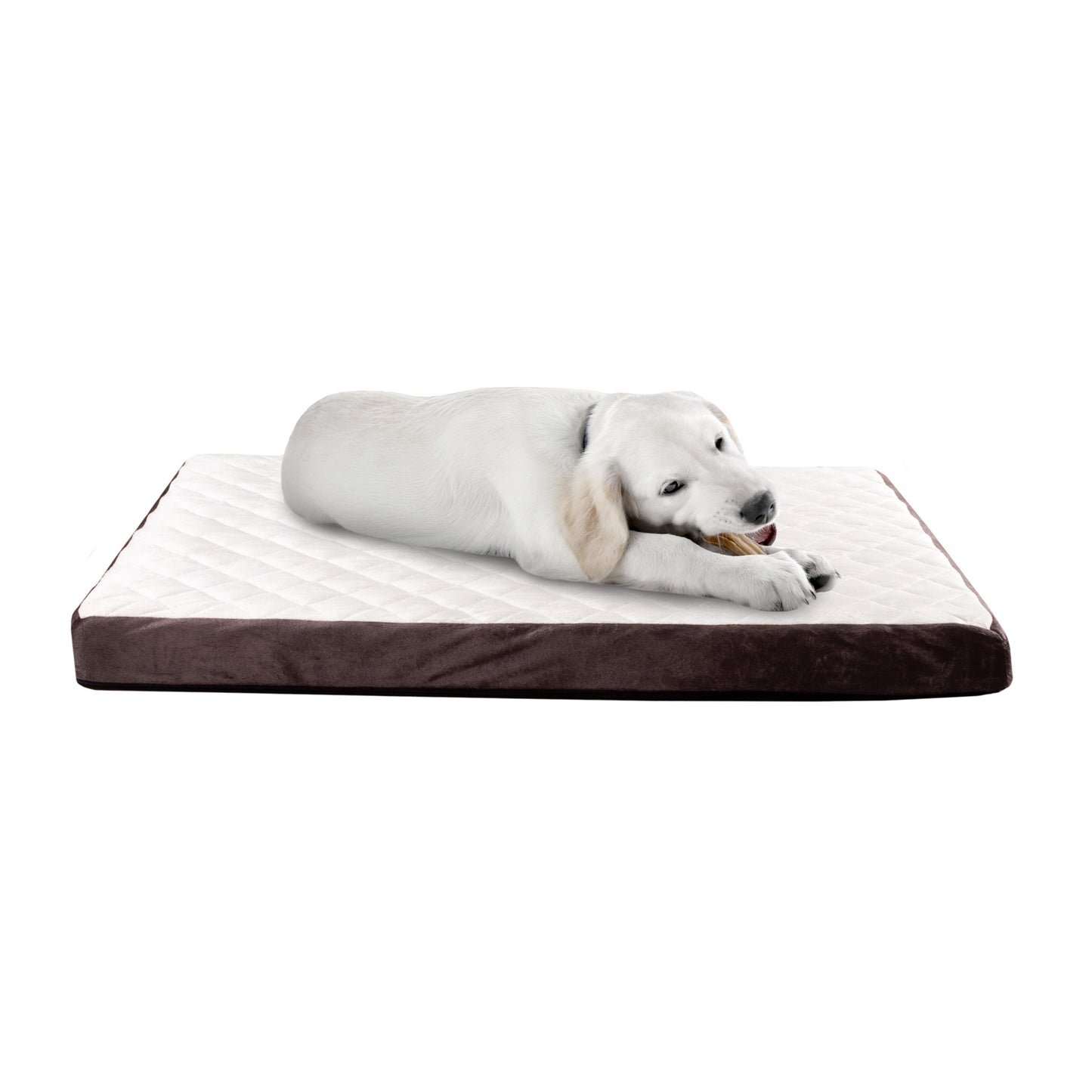 Bamboo Charcoal Infused Dog Bed