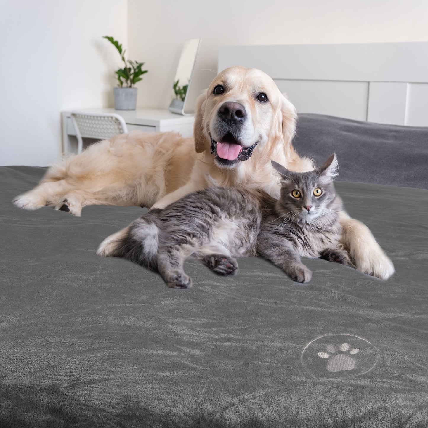 PETMAKER 30x40-Inch Waterproof Dog Blanket, Gray