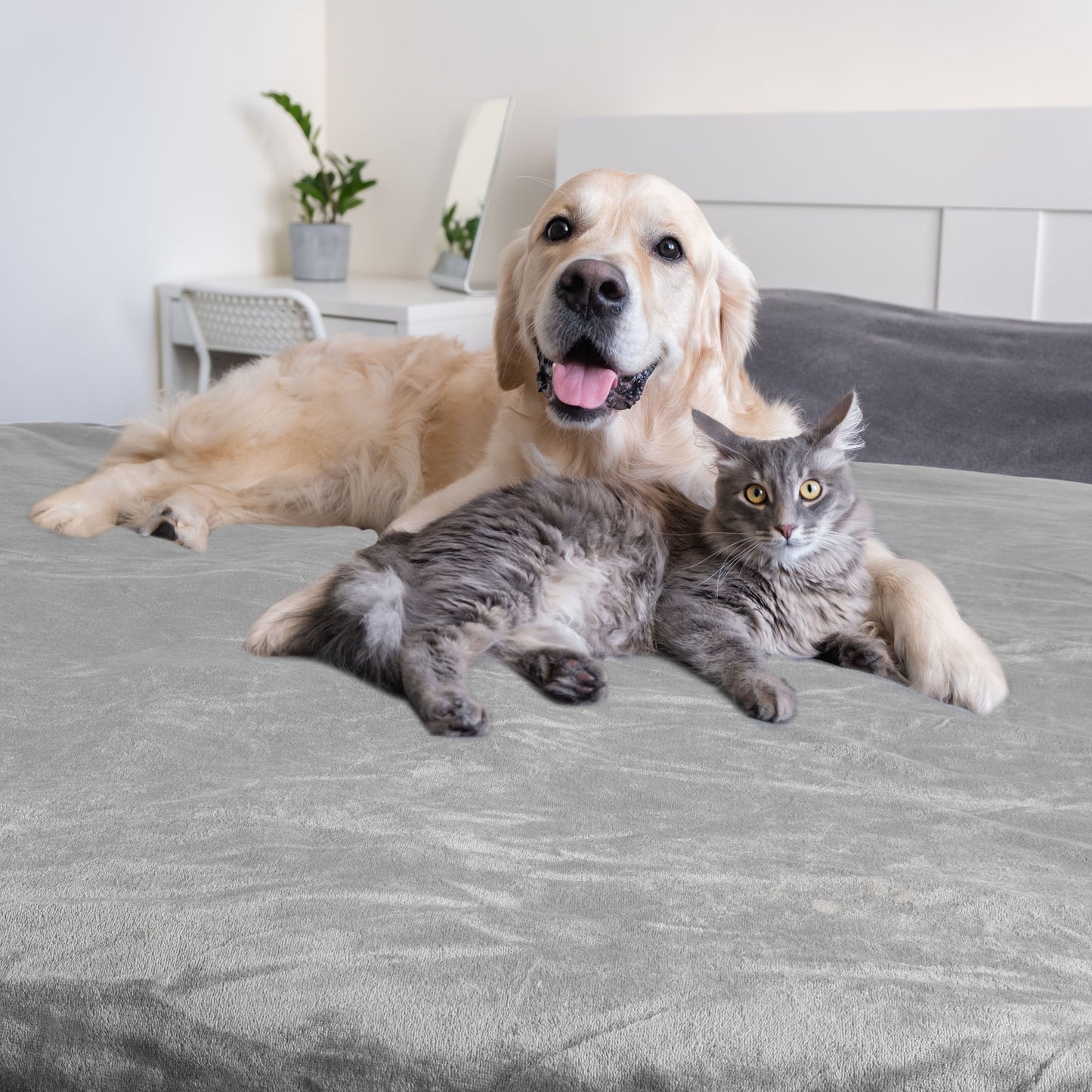 PETMAKER 60x70-Inch Waterproof Dog Blanket, Gray