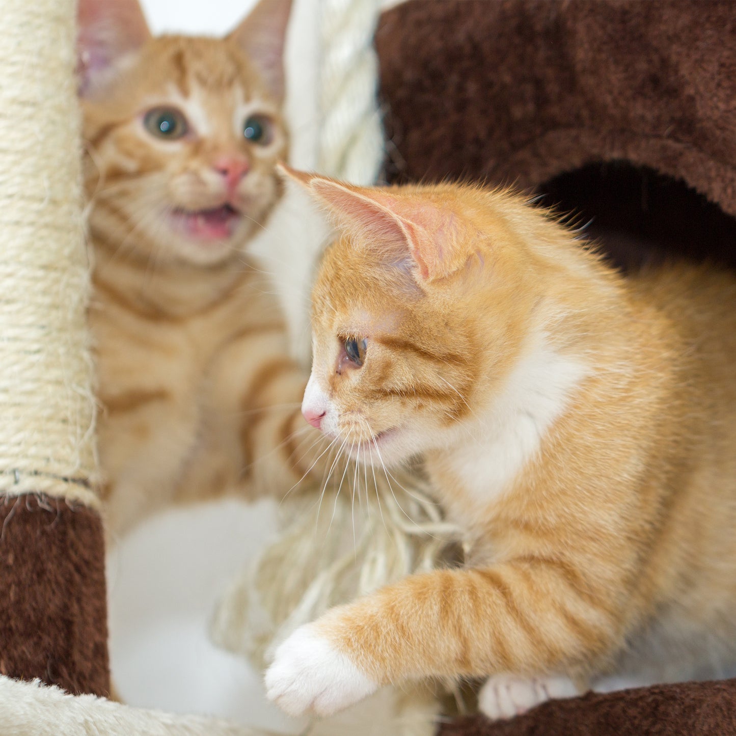 3-Tier Cat Tree With Condo And Scratching Posts