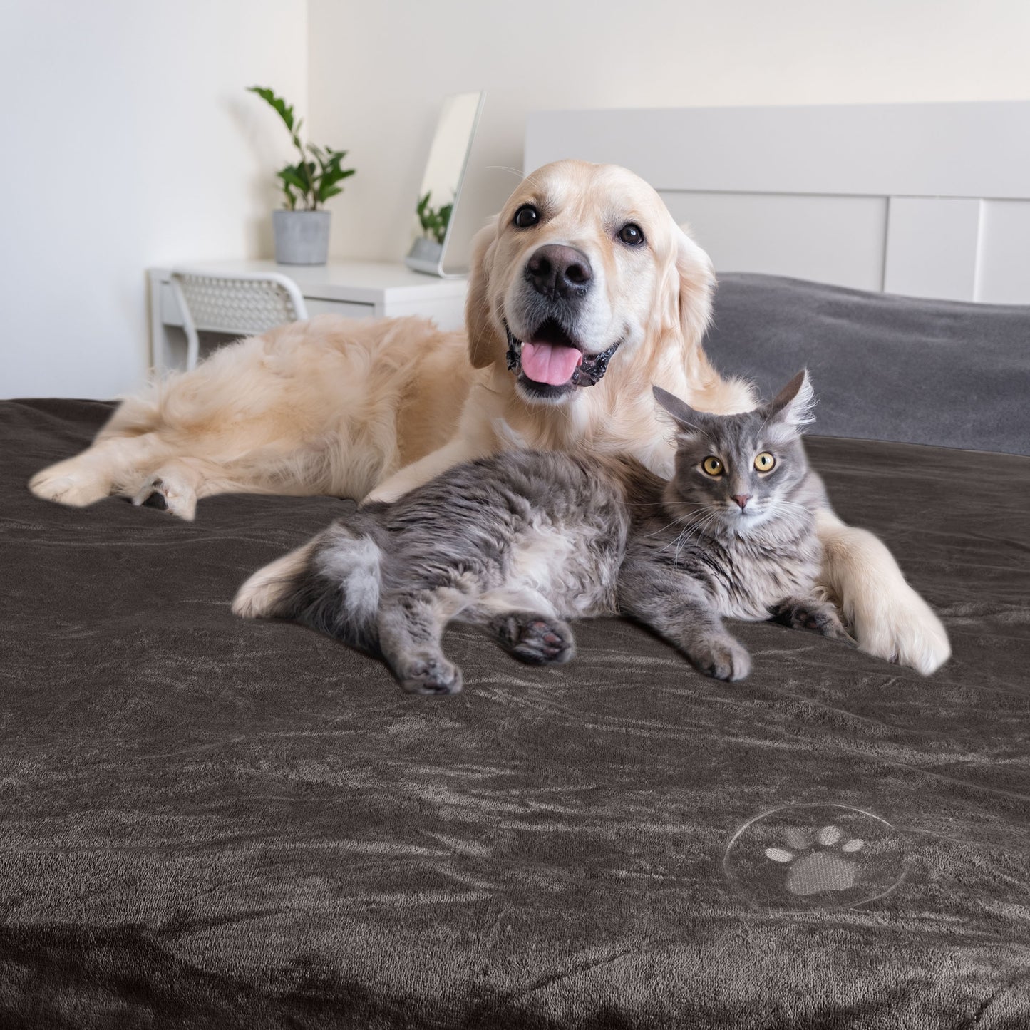 PETMAKER 50x60in Waterproof Dog Blanket, Charcoal