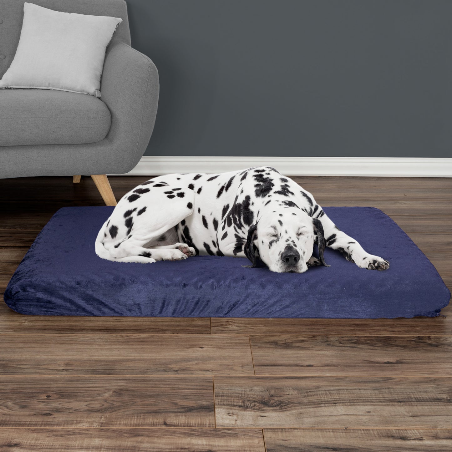 Orthopedic Pet Bed - Egg Crate and Memory
