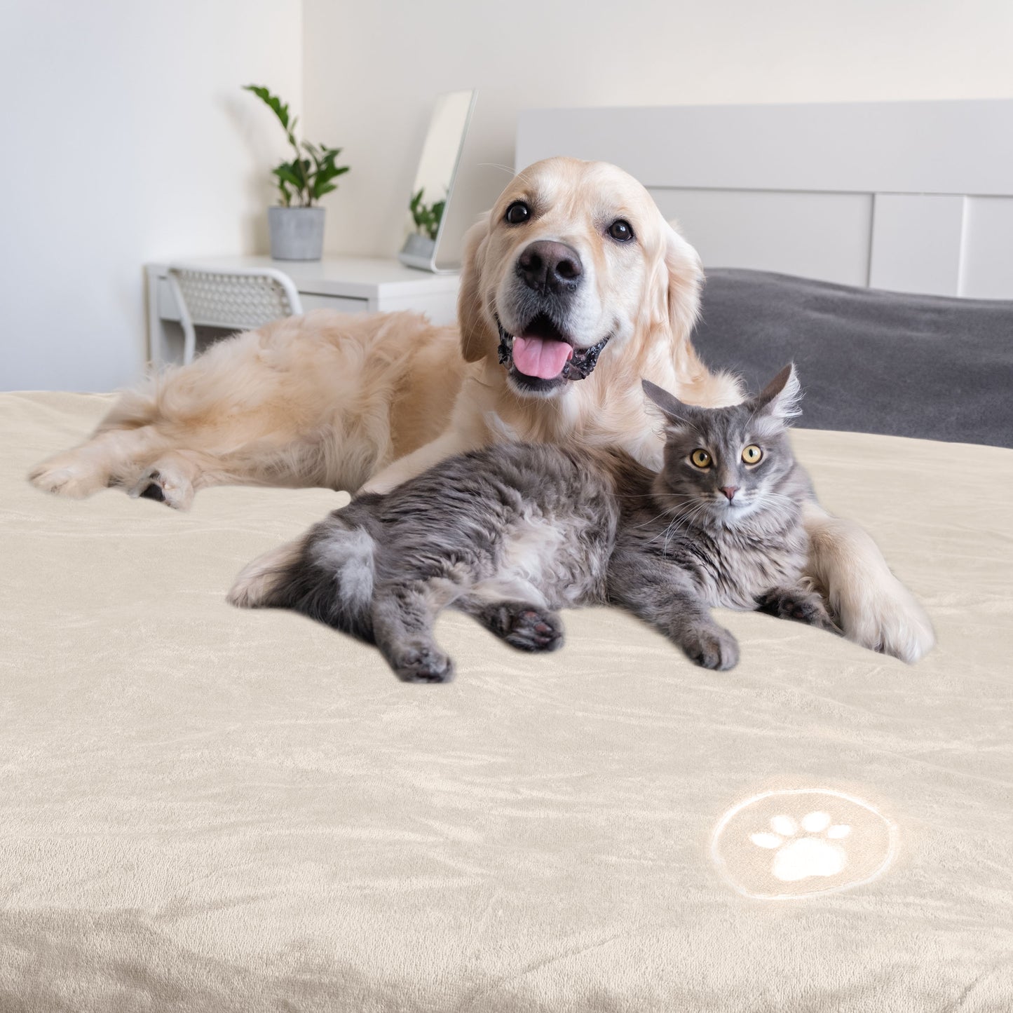 PETMAKER 50x60-Inch Waterproof Dog Blanket, Cream