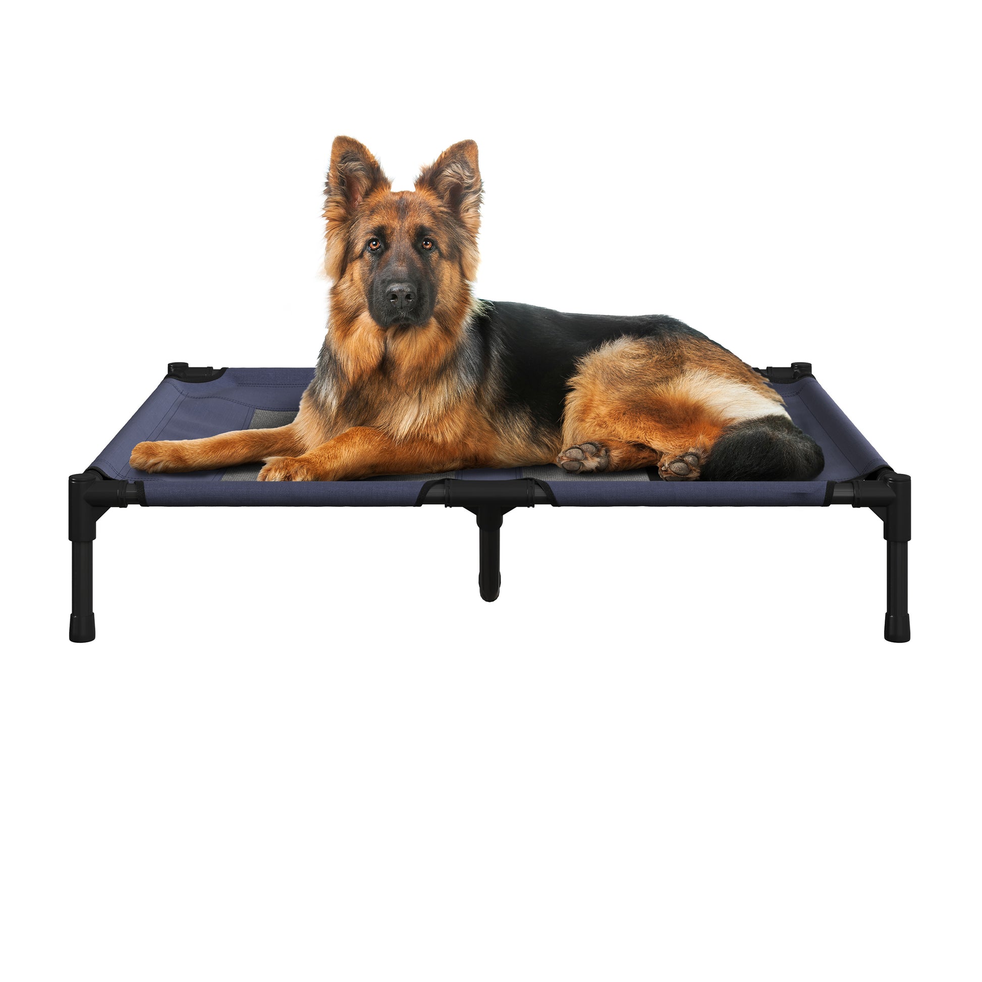 Elevated Dog Dog Proof Dog Bed Elevated Dog Bed, Cooling Raised