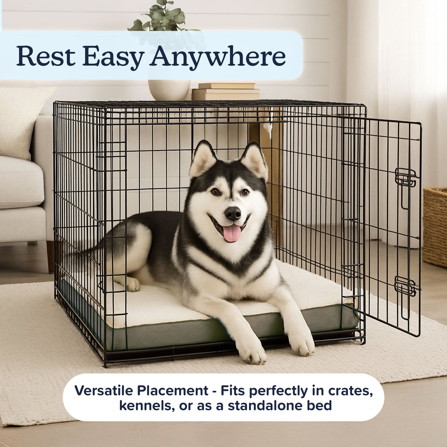 Memory Foam Pet Bed