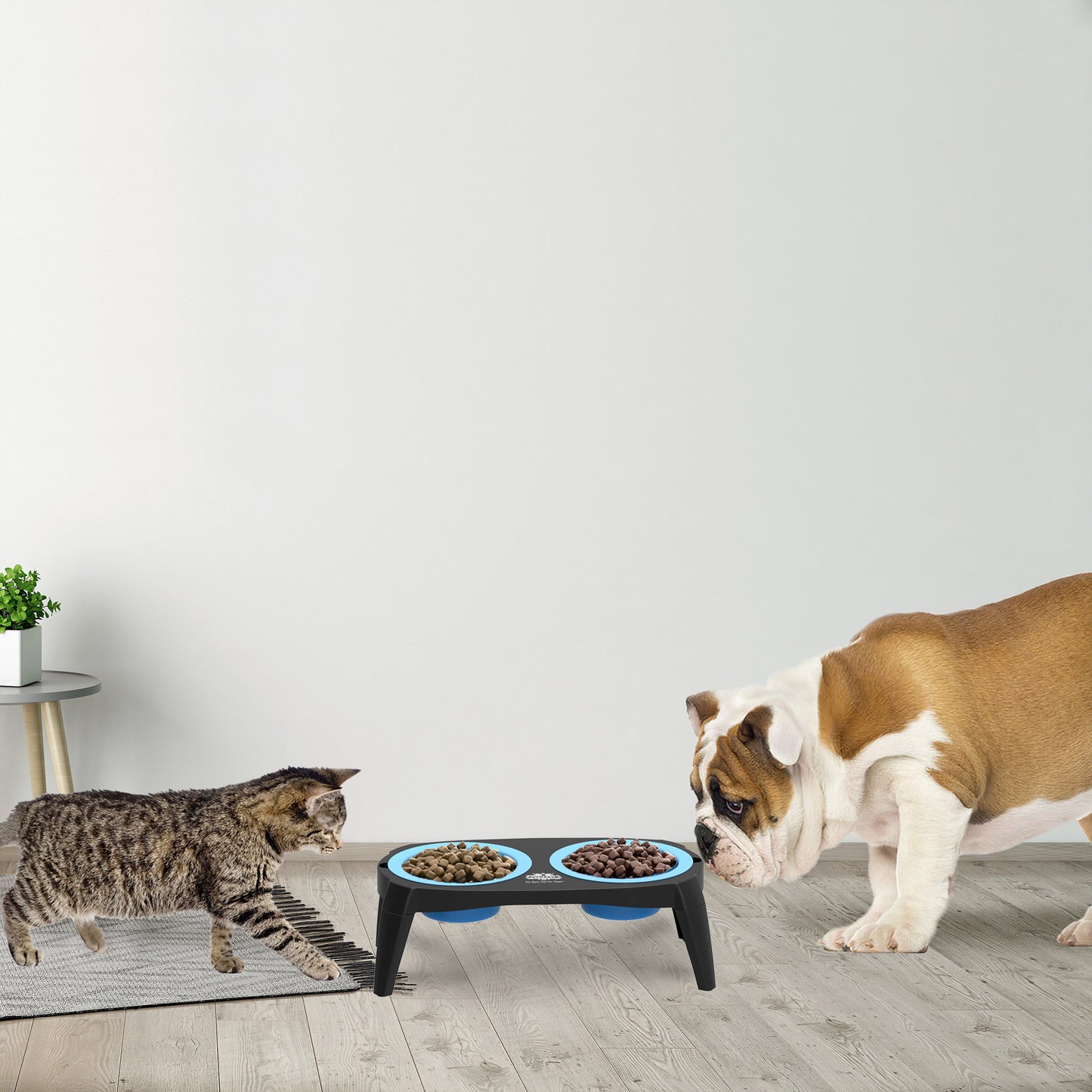 Elevated Pet Bowls with Stand