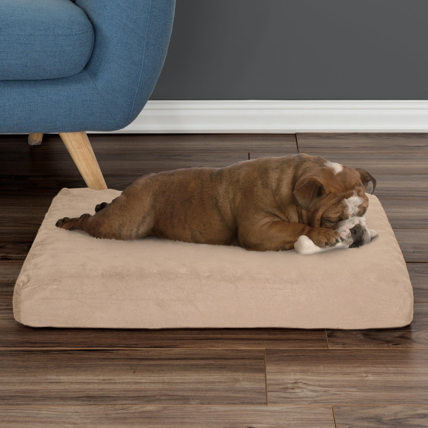 Orthopedic Memory Foam Dog Bed