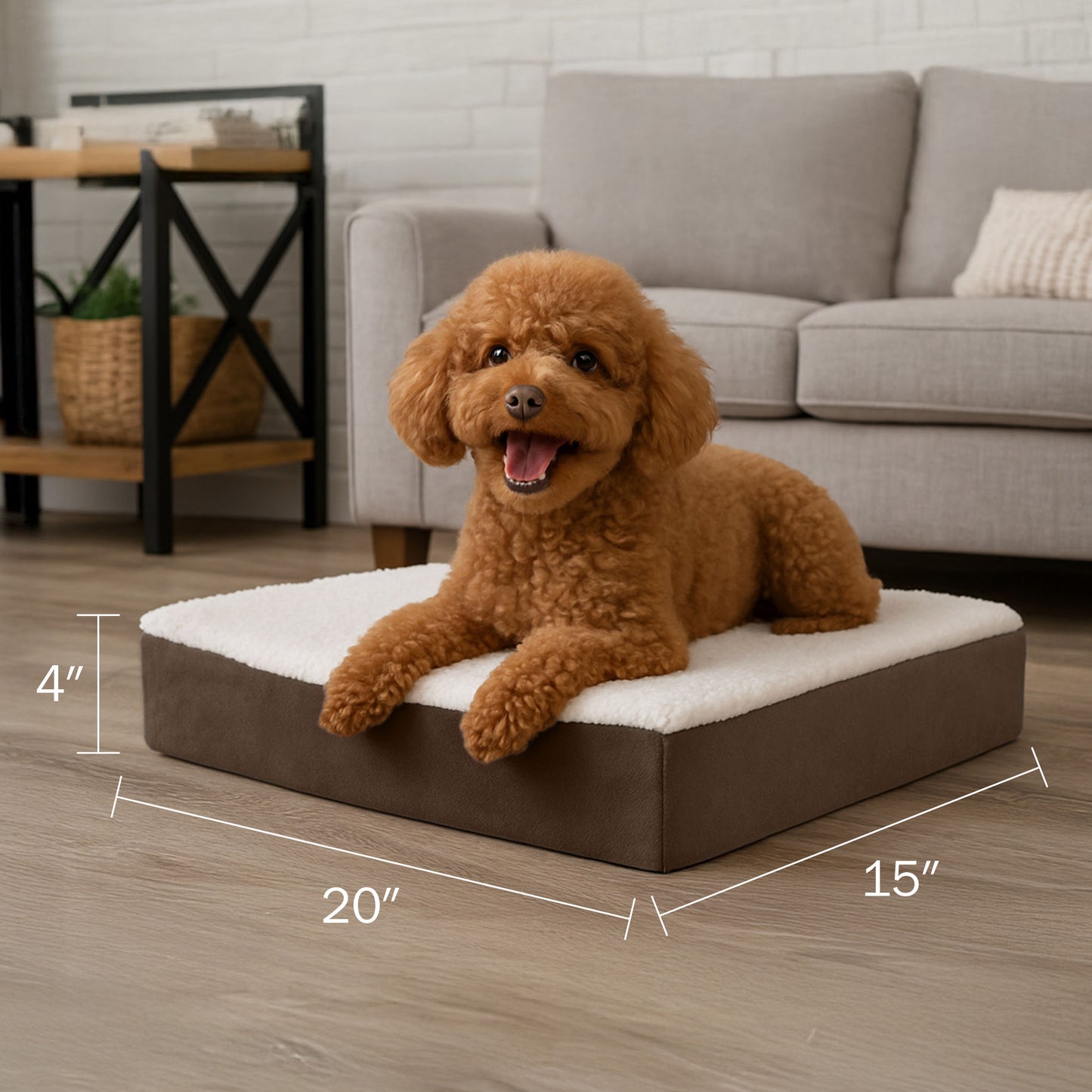 2-Layer Orthopedic Bed