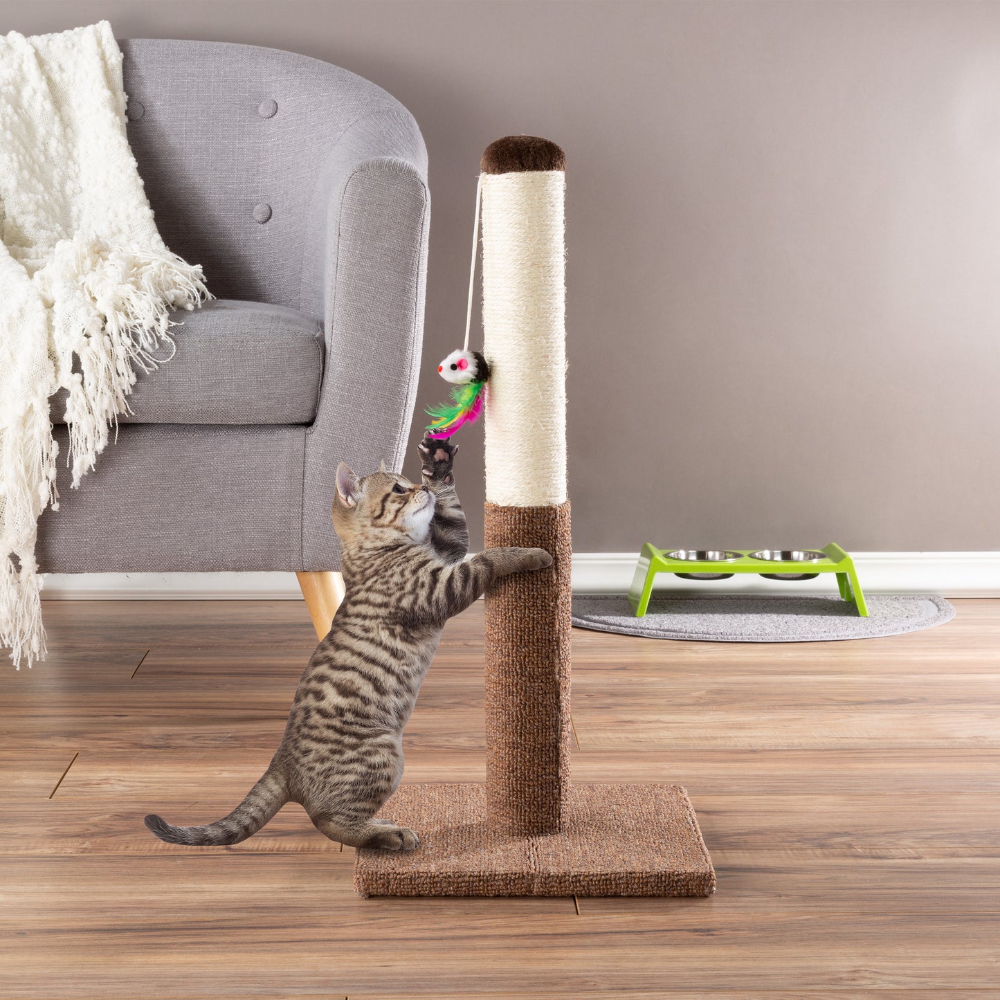 Petmaker Cat Scratching Post with Carpeted Base, Brown