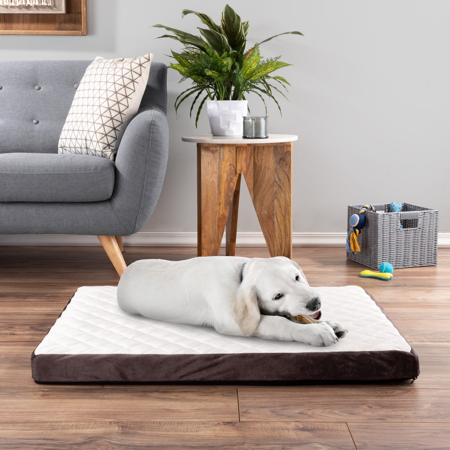 Bamboo Charcoal Infused Dog Bed