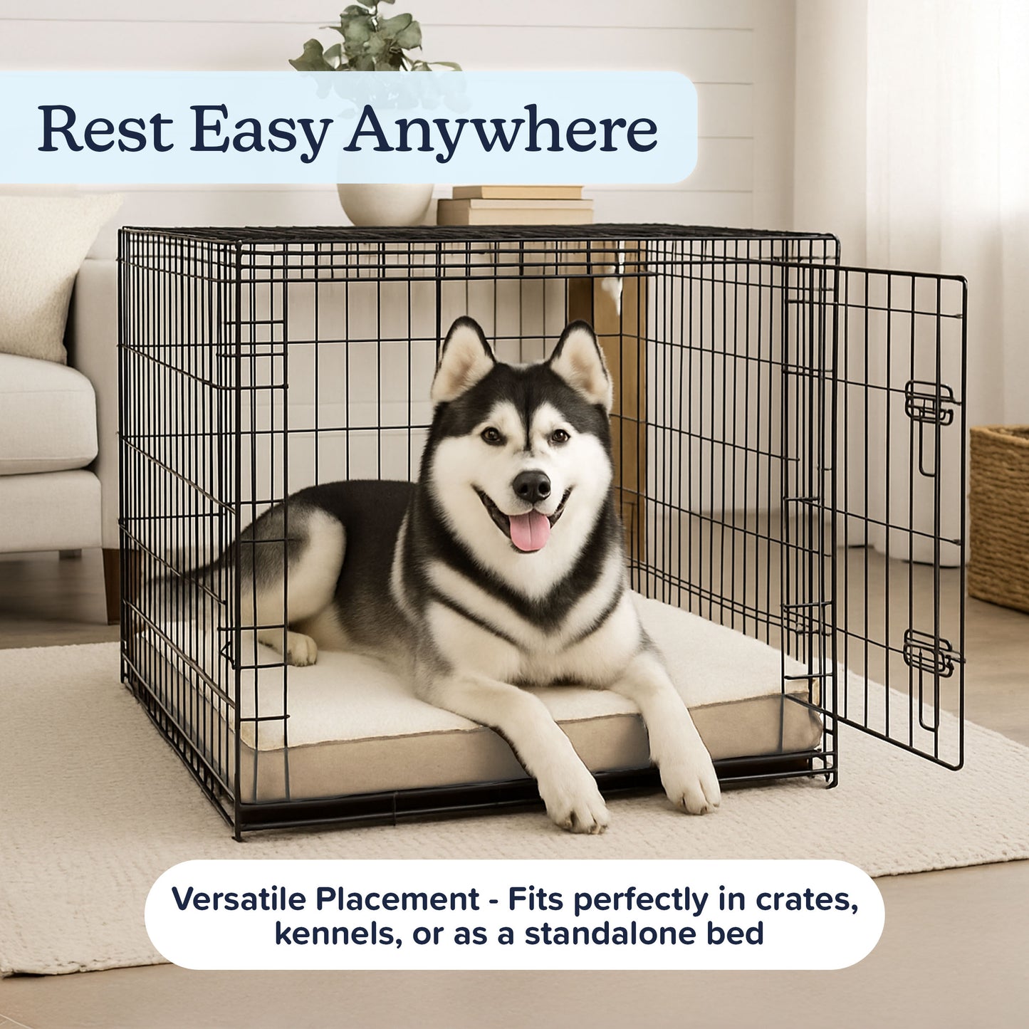 2-Layer Orthopedic Dog Bed