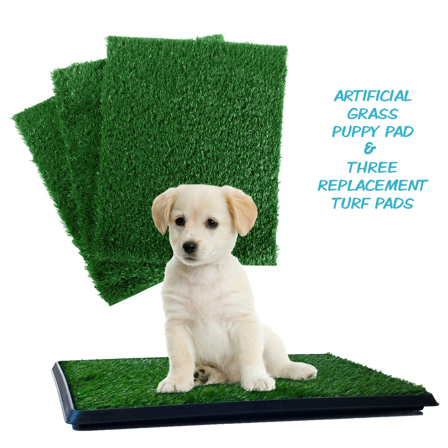 Potty Training System with 3 Reusable Pads