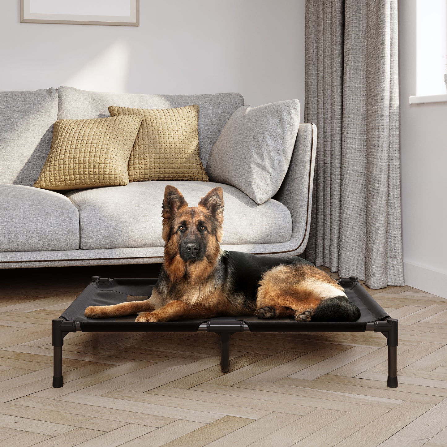 Elevated Dog Bed