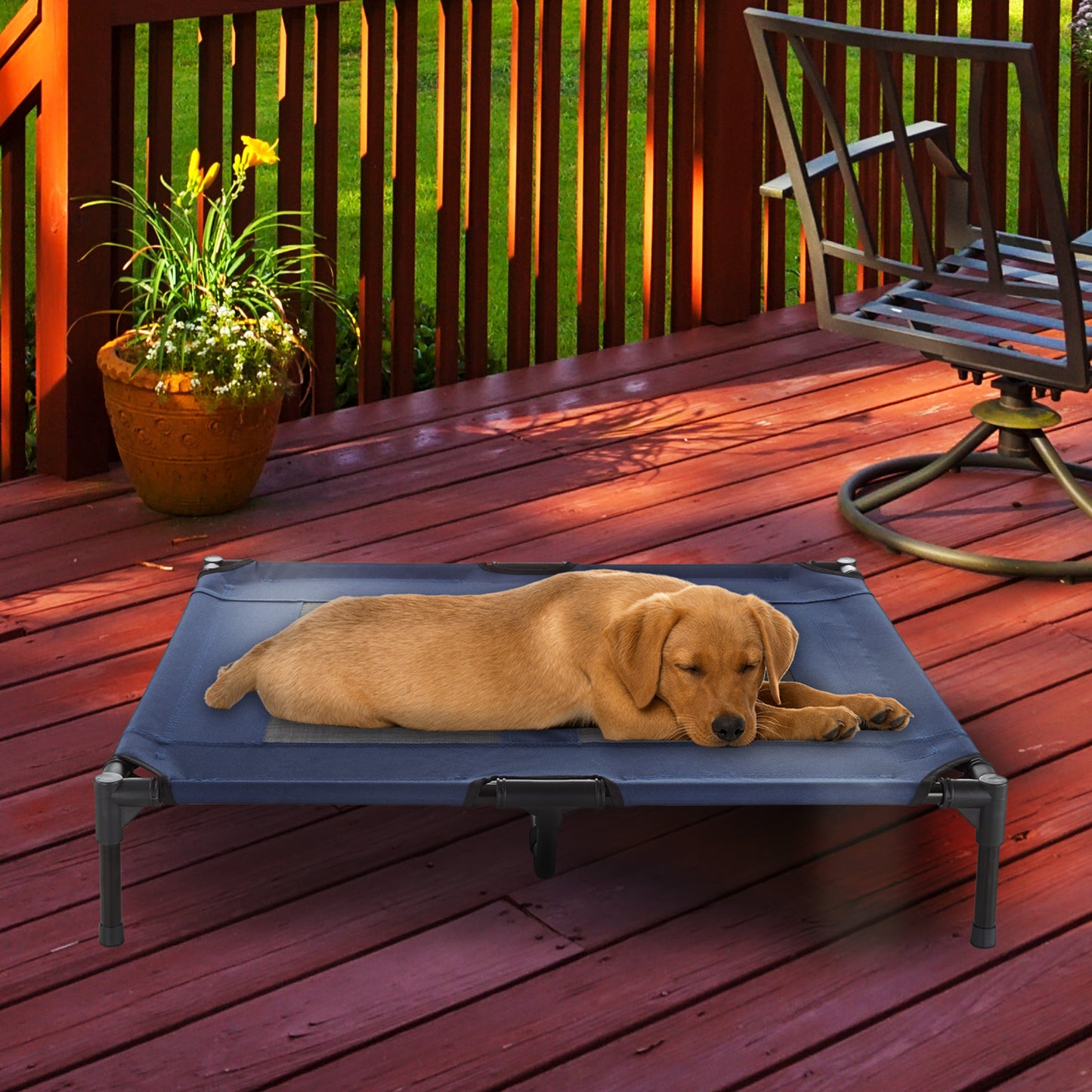 Elevated Dog Bed
