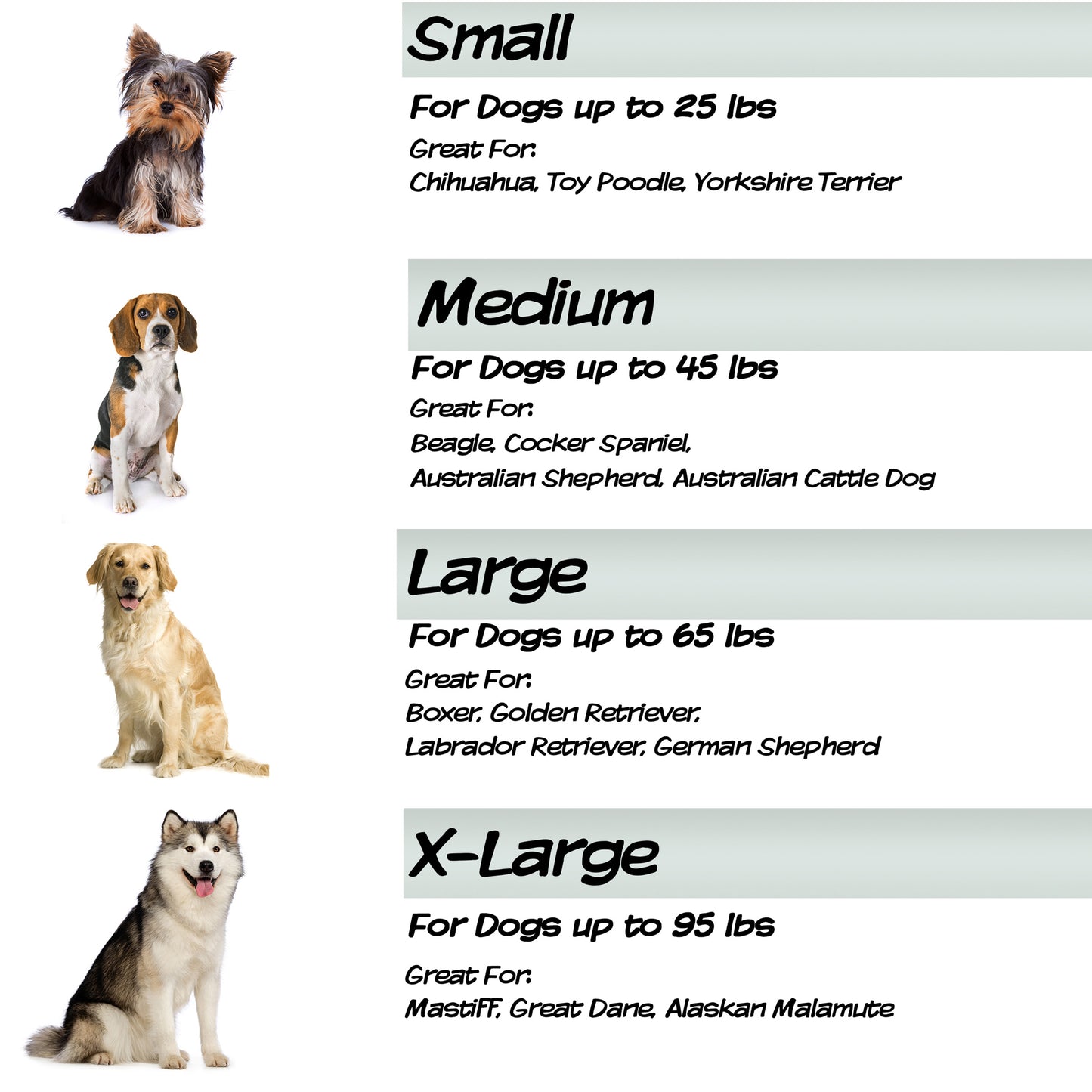 2-Layer Orthopedic Dog Bed