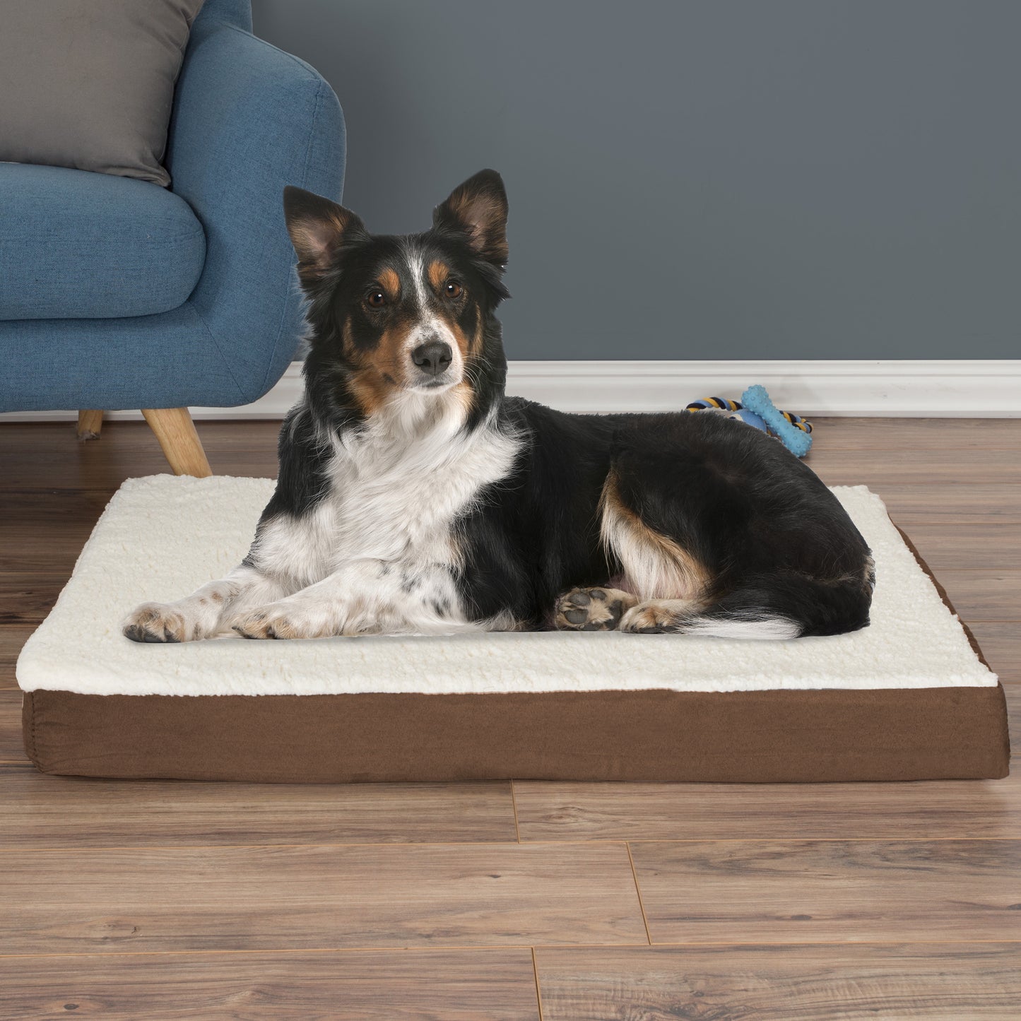 2-Layer Orthopedic Dog Bed