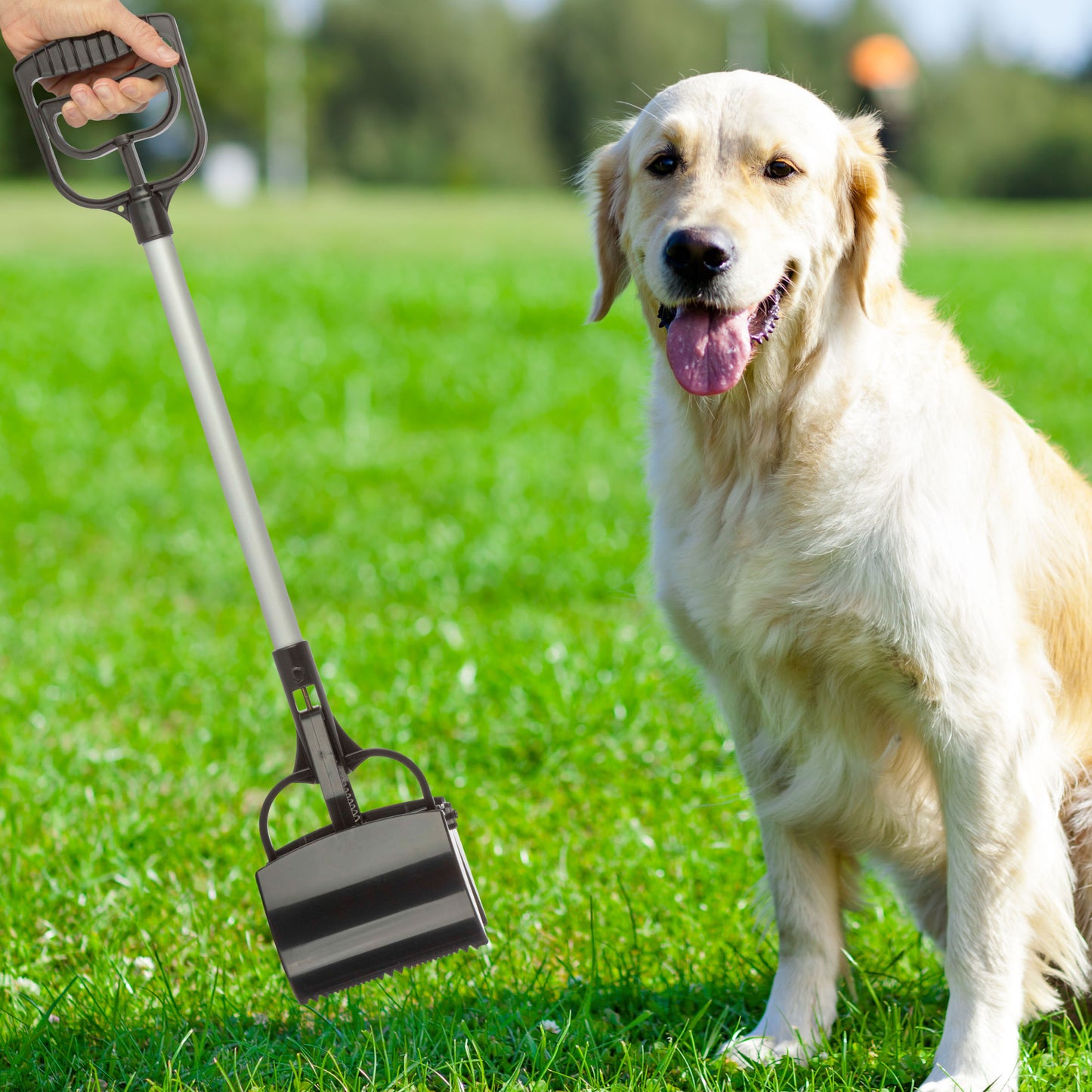 Pet Pooper Scooper with Long Handle