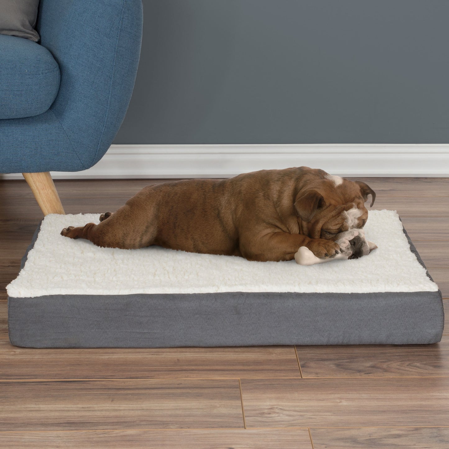 Memory Foam Pet Bed