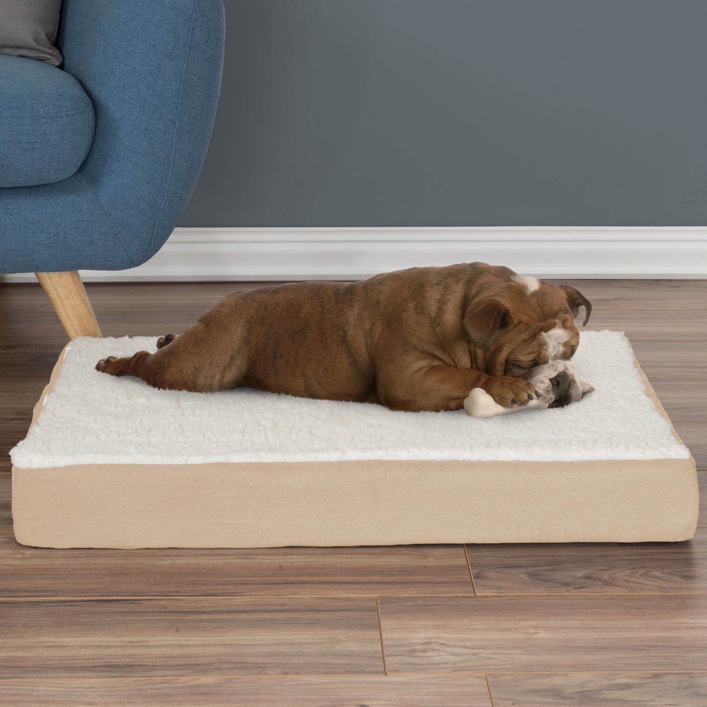 2-Layer Orthopedic Dog Bed