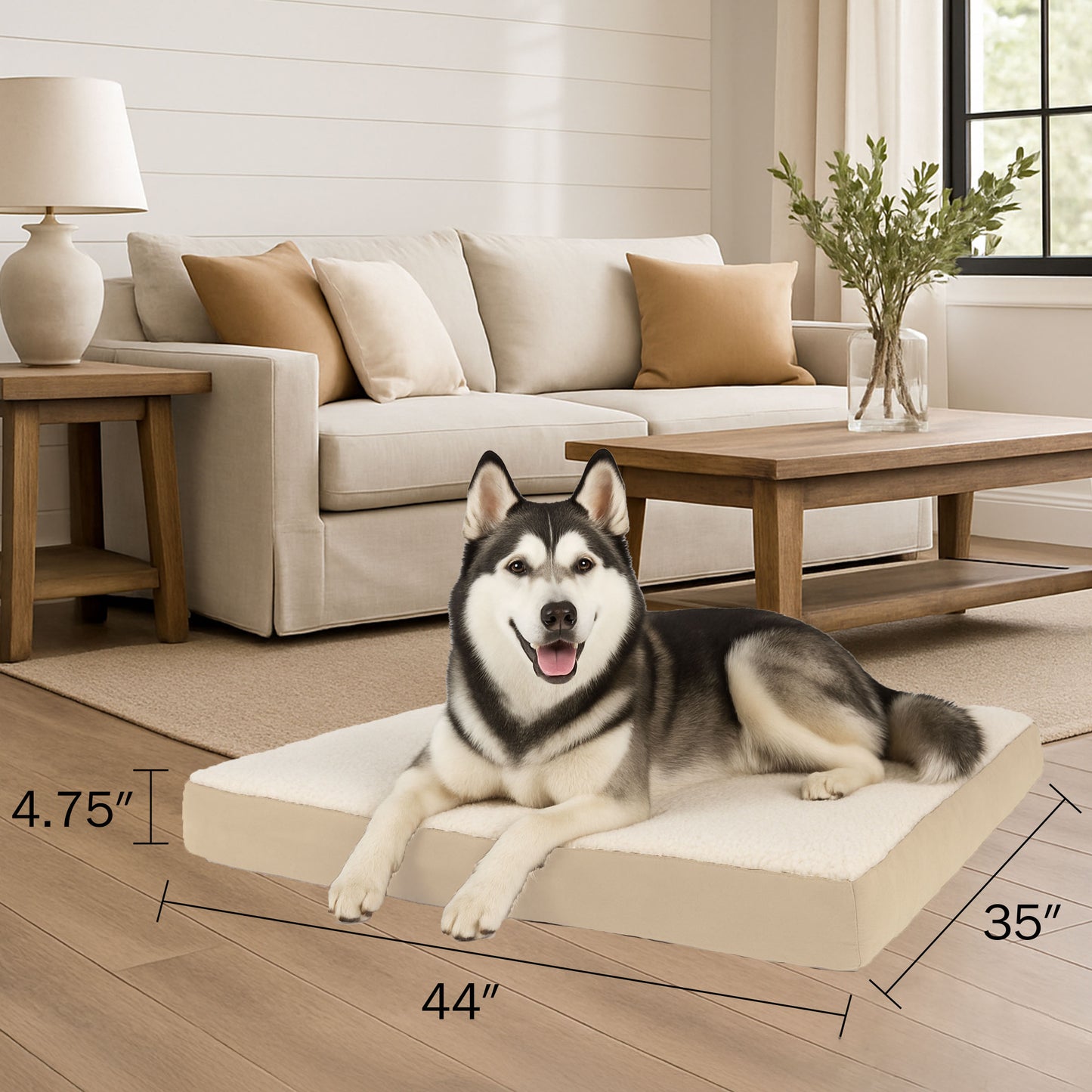 2-Layer Orthopedic Dog Bed