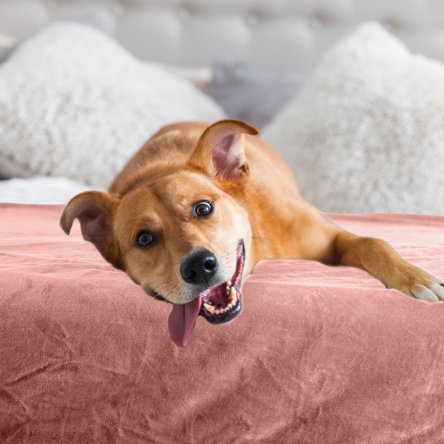 PETMAKER 30x40-Inch Waterproof Dog Blanket, Pink