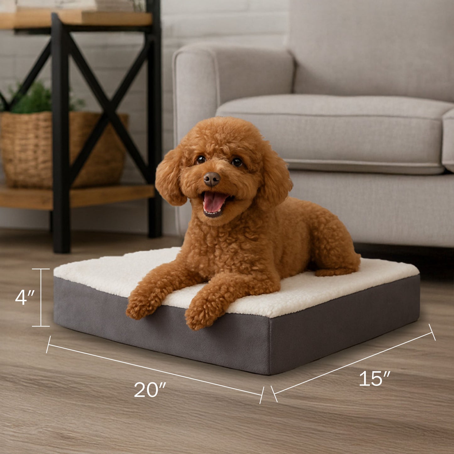 2-Layer Orthopedic Dog Bed
