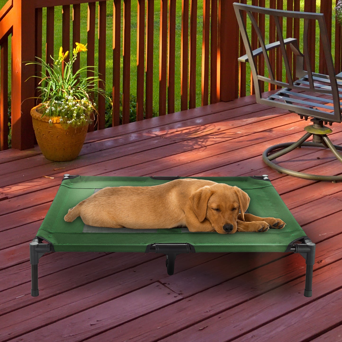 Elevated Pet Bed W/ Non-Slip Feet