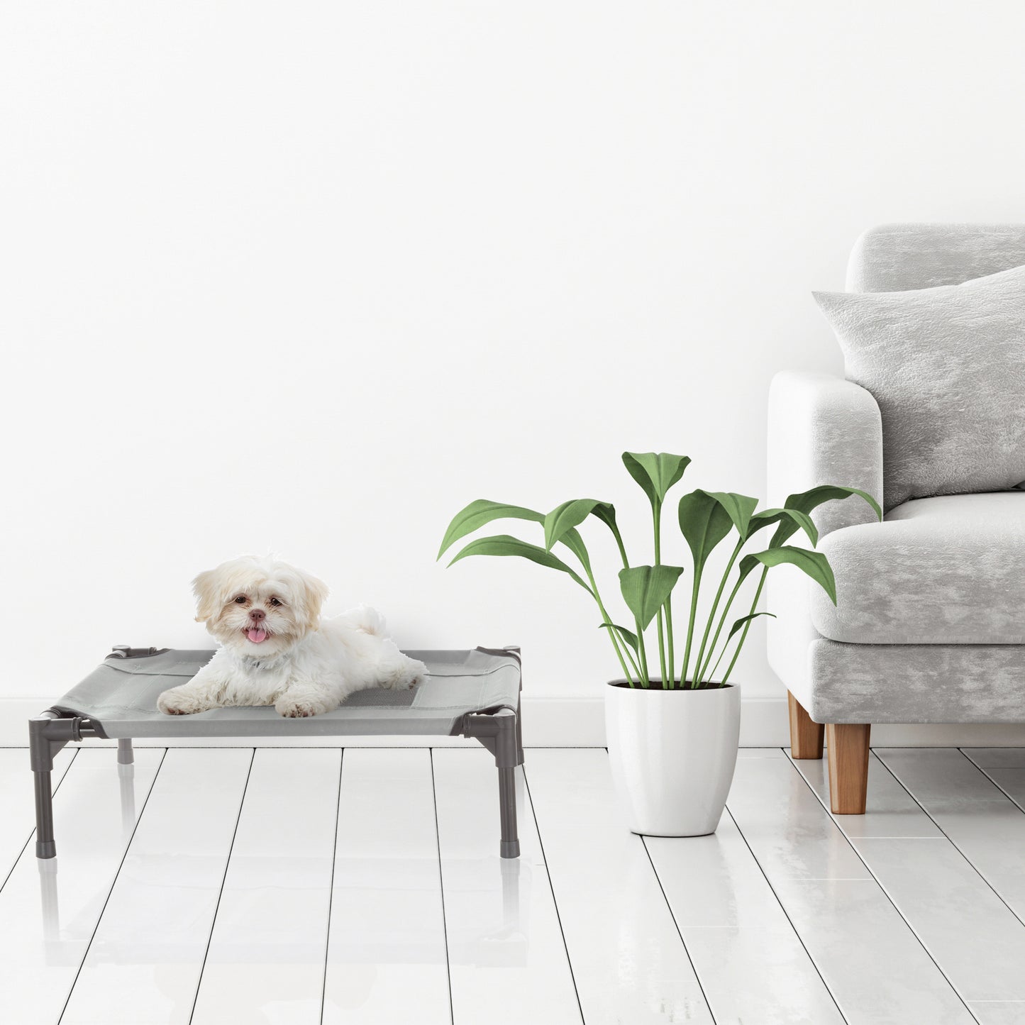 Elevated Dog Bed