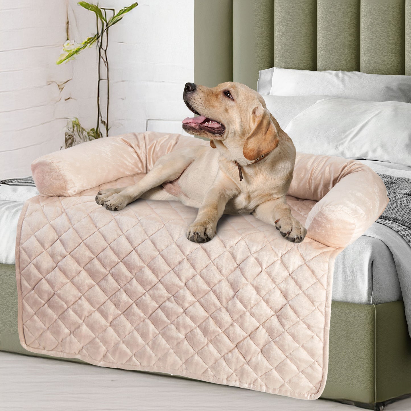 Water-Resistant Couch Cover